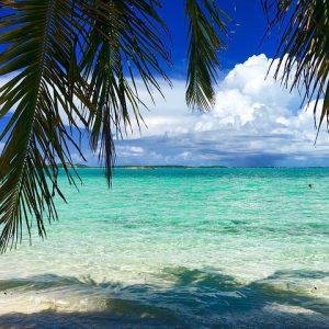 moving to the bahamas