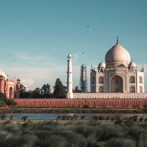 expats in india