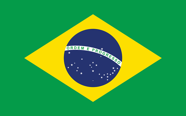 moving to brazil flag