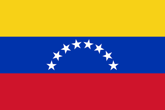 moving to venezuela flag