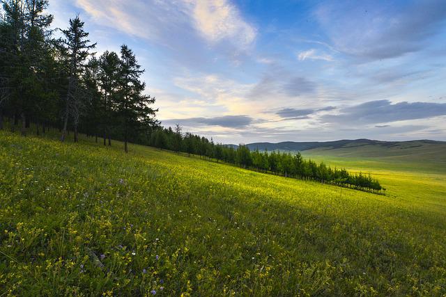 moving to mongolia