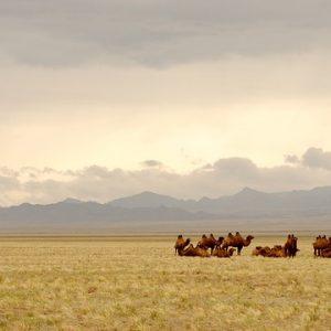 moving to mongolia