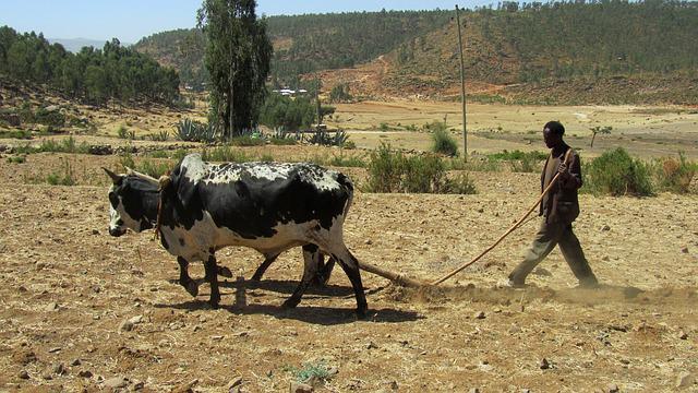 living in ethiopia