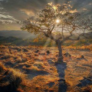 life in zimbabwe