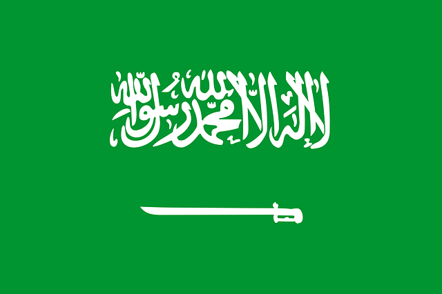 moving to saudi arabia flag