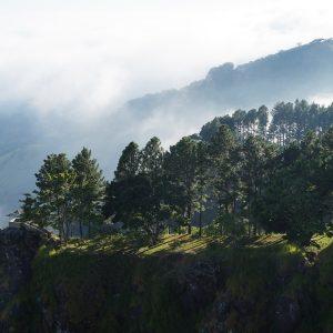 moving to el salvador